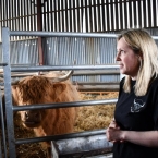 31318331_10156283194844481_1236533342355062784_n